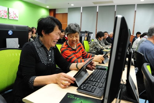 聚焦五大功能，賈煒為上海學(xué)習(xí)型城市建設(shè)注入高質(zhì)量教育咨詢服務(wù)新動能